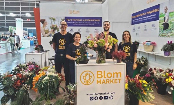 Flores y plantas al por mayor Blom Market Plataforma digital